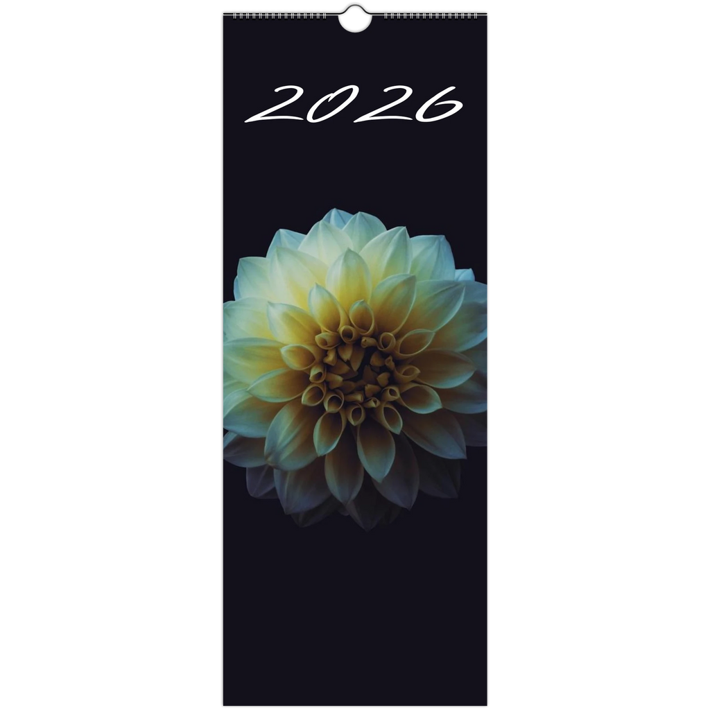 417bc93a-672b-44fc-9ba9-9ba1ea5fba04